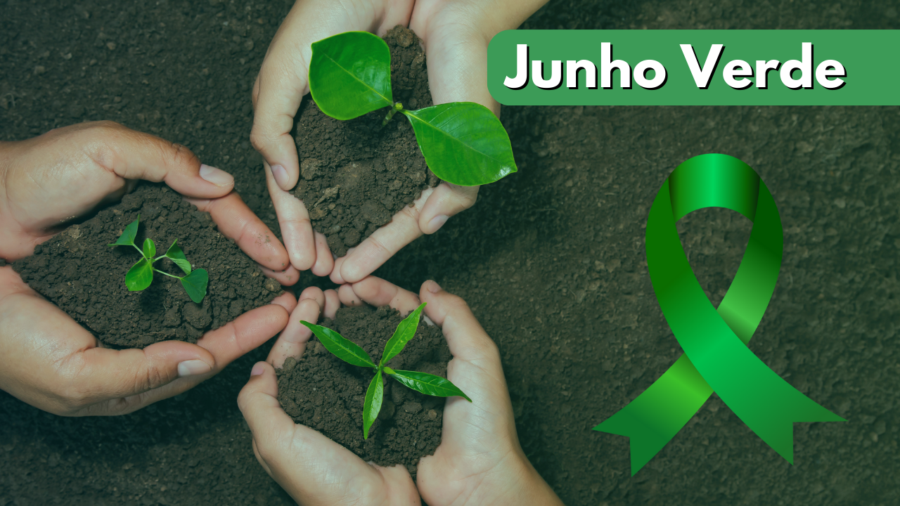 Junho Verde e a tecnologia como solução para a sustentabilidade. - B2 Midia